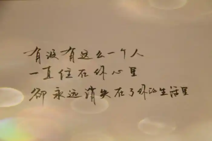 有没有这么一个人,一直住在你心里,却永远消失在了你的生活里.